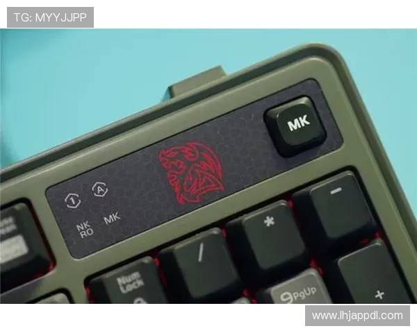 tt电竞版与其他电竞软件的对比分析,优势与不足全面解析助你做出明智选择 tt电竞版与其他电竞软件的对比分析,优势与不足全面解析助你做出明智选择