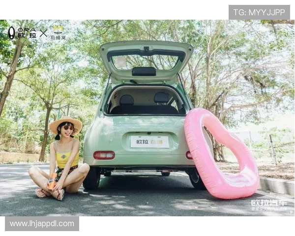 提升游戏体验的老虎机游戏机解码器选择与安装技巧 提升游戏体验的老虎机游戏机解码器选择与安装技巧